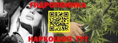 гашик Тула