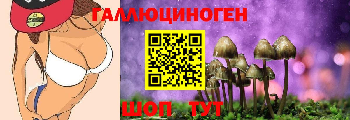 Чусовой  Галлюциногенные грибы Cubensis  Вход с VPN 