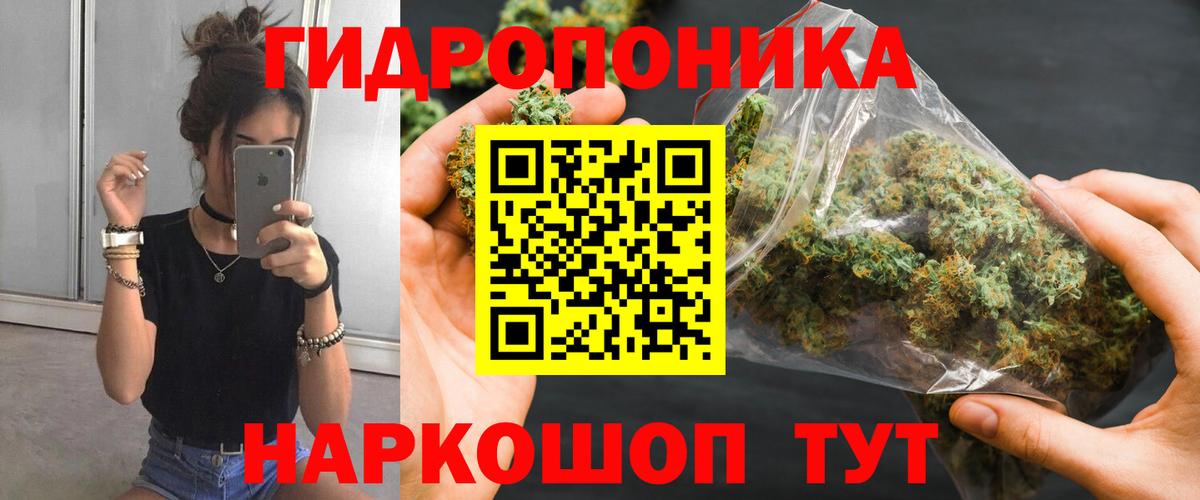 Конопля LSD WEED  Бошки Шишки планчик  Чусовой  Канабис индика  Вход с VPN  Канабис план 